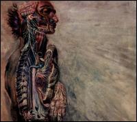 FEAR & NERVOUS SYSTEM-FEAR & NERVOUS SYSTEM