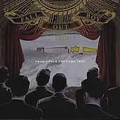 FROM UNDER THE CORK TREE-FALL OUT BOY