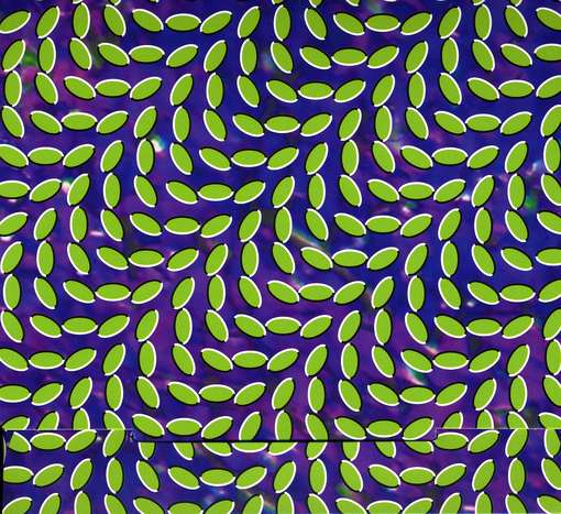 MERRIWEATHER POST PAVILION-ANIMAL COLLECTIVE