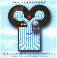 WHAT DOES ANYTHING MEAN - BASICALLY (UK)-CHAMELEONS