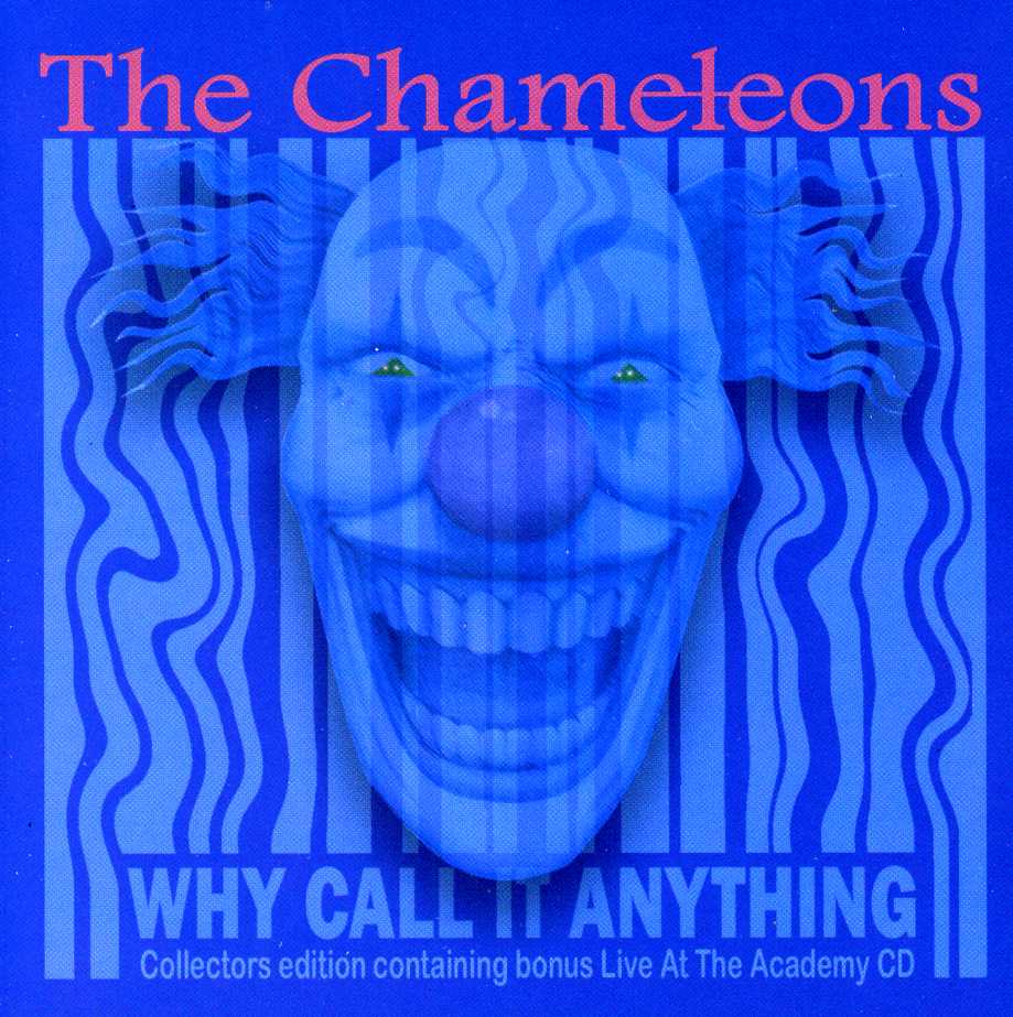 WHY CALL IT ANYTHING (UK)-CHAMELEONS